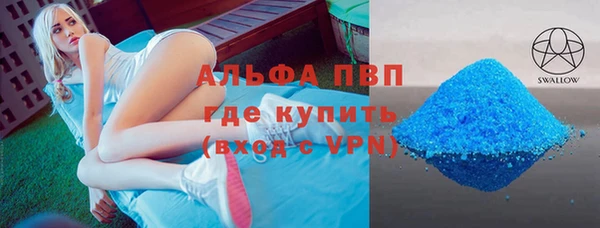 гашик Алексин
