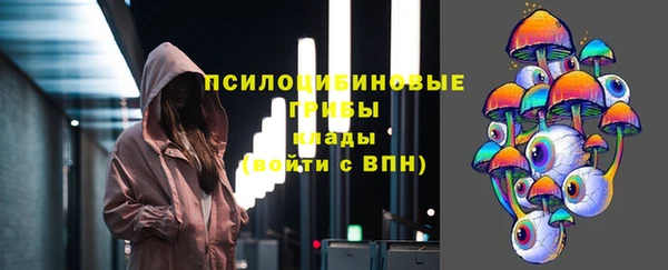 дмт Алексеевка