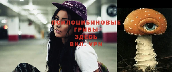дмт Алексеевка