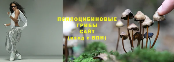 дмт Алексеевка