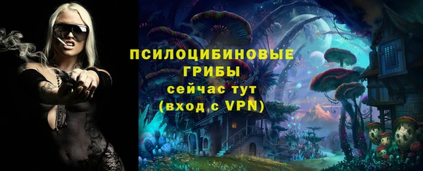 гашик Алексин