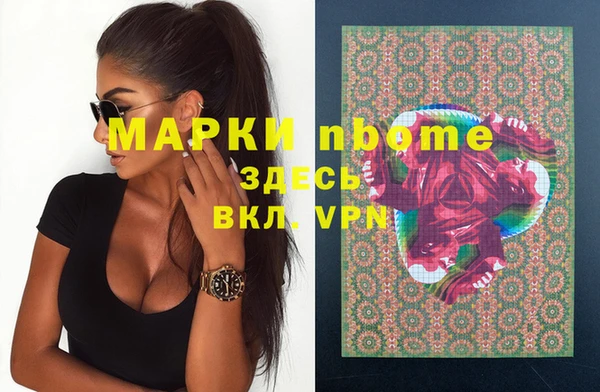 гашик Алексин