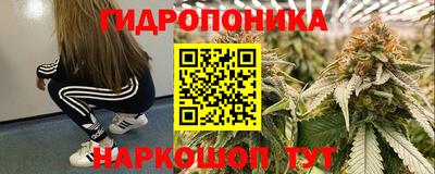 spice Кулебаки